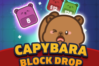 Capybara Block Drop img