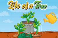 Life of a Tree img