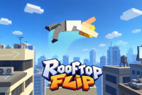 Rooftop Flip img