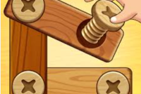  Screw Puzzle: Wood Nut & Bolt img